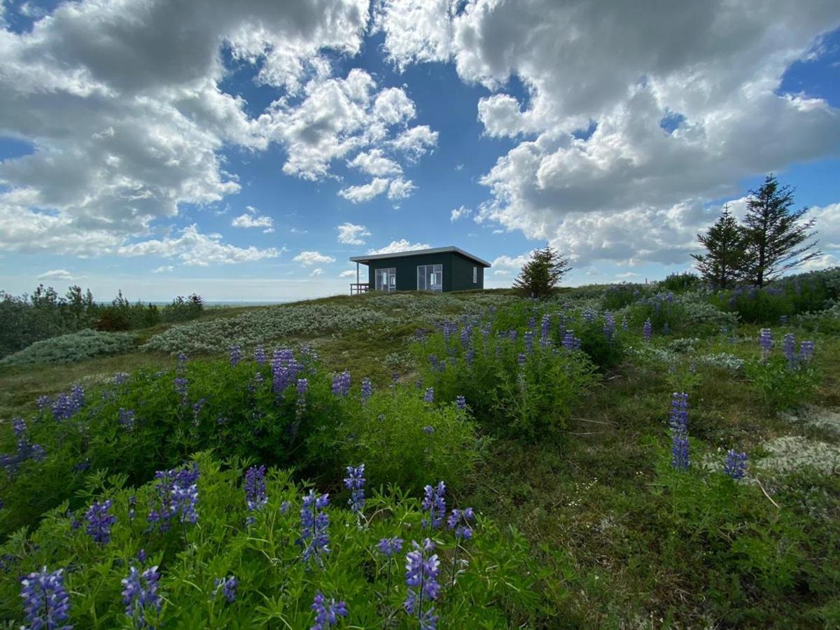 Вилла Skeithvellir Panorama House Хелла Экстерьер фото